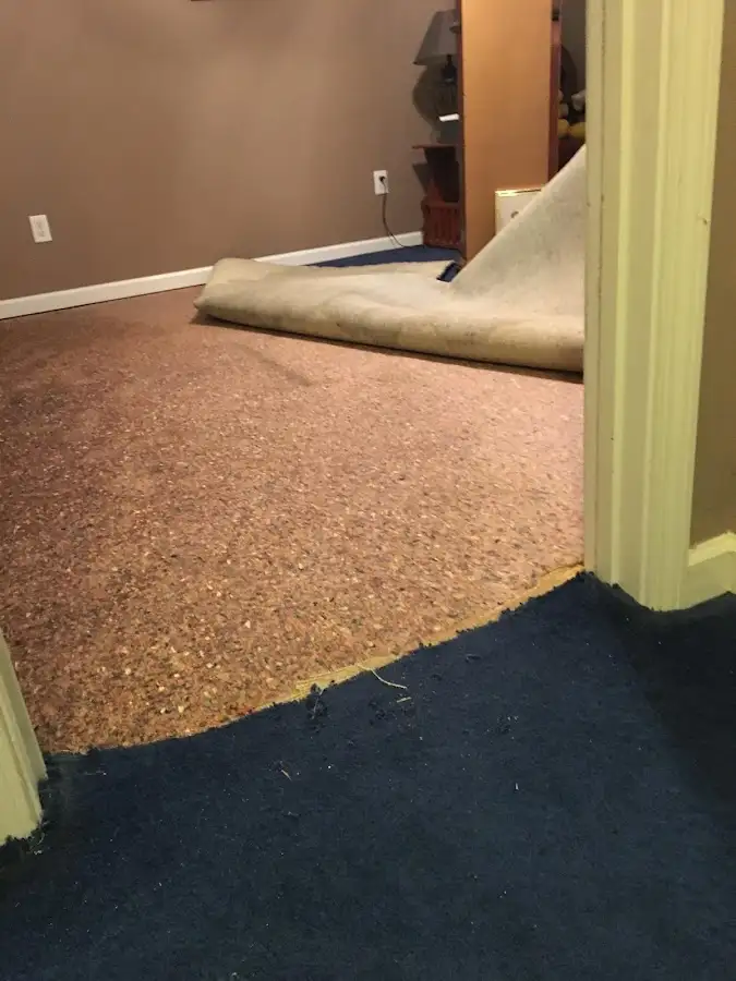 Carpet pad removal revealing water damage during Water Mitigation Services in Rantoul